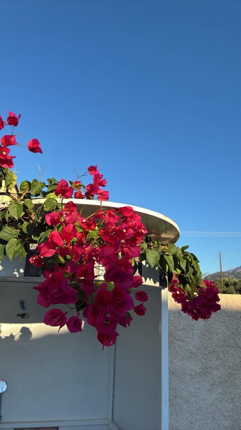 Spring, Garden view