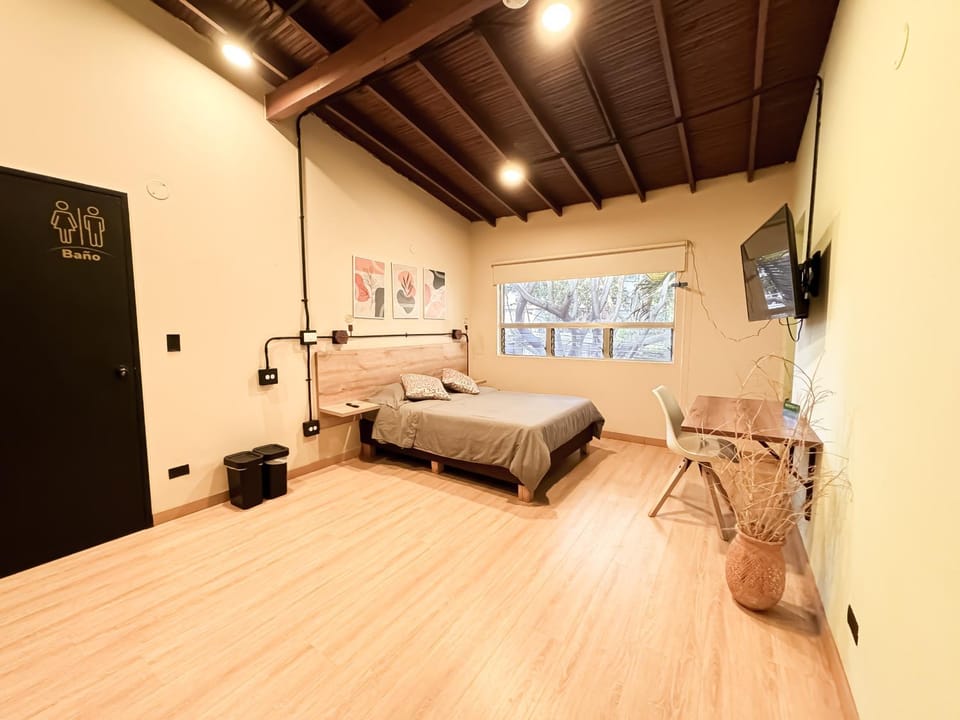 Photo of the whole room