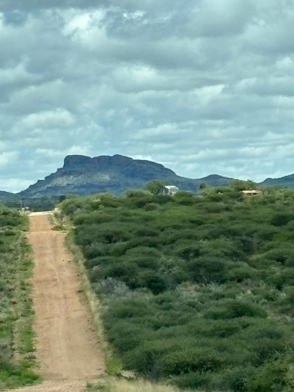Natural landscape