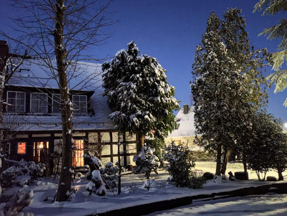 Winter
