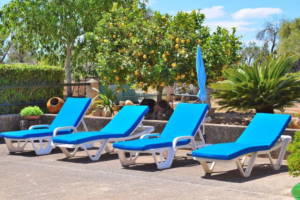 Patio, Day, Garden, Garden view, Pool view, Swimming pool, sunbed