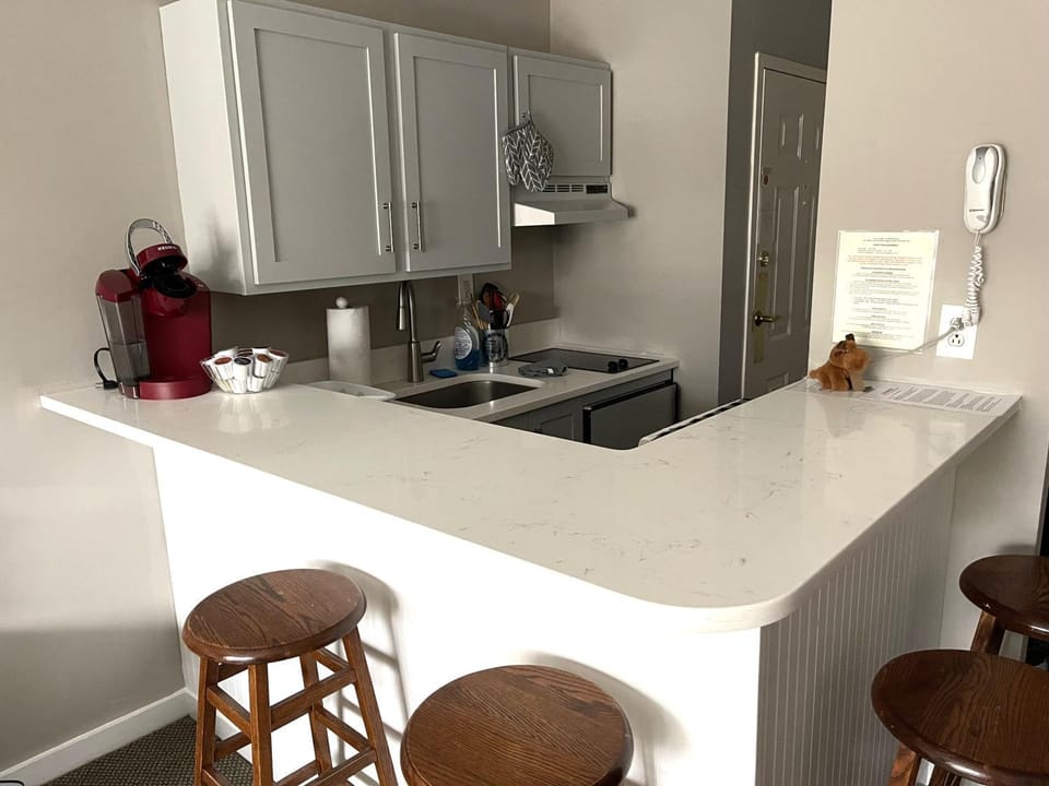 Deluxe Ski On Off 1BR Suite Sleeps 4 on Jiminy Mtn Apartment in Lanesborough
