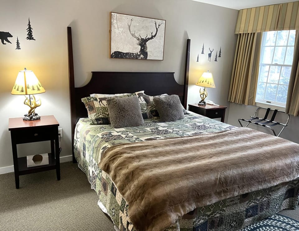 Deluxe Ski On Off 1BR Suite Sleeps 4 on Jiminy Mtn Apartment in Lanesborough