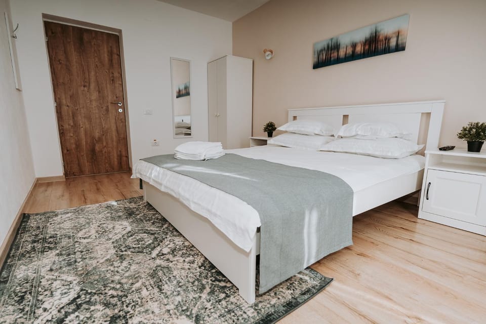 CASA ALMI Bed and Breakfast in Romania