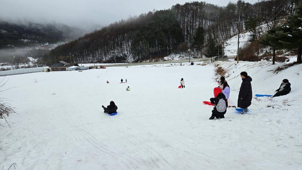 Elf Resort Hotel Hotel in South Korea