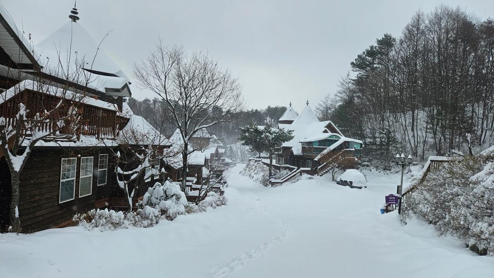 Elf Resort Hotel Hotel in South Korea