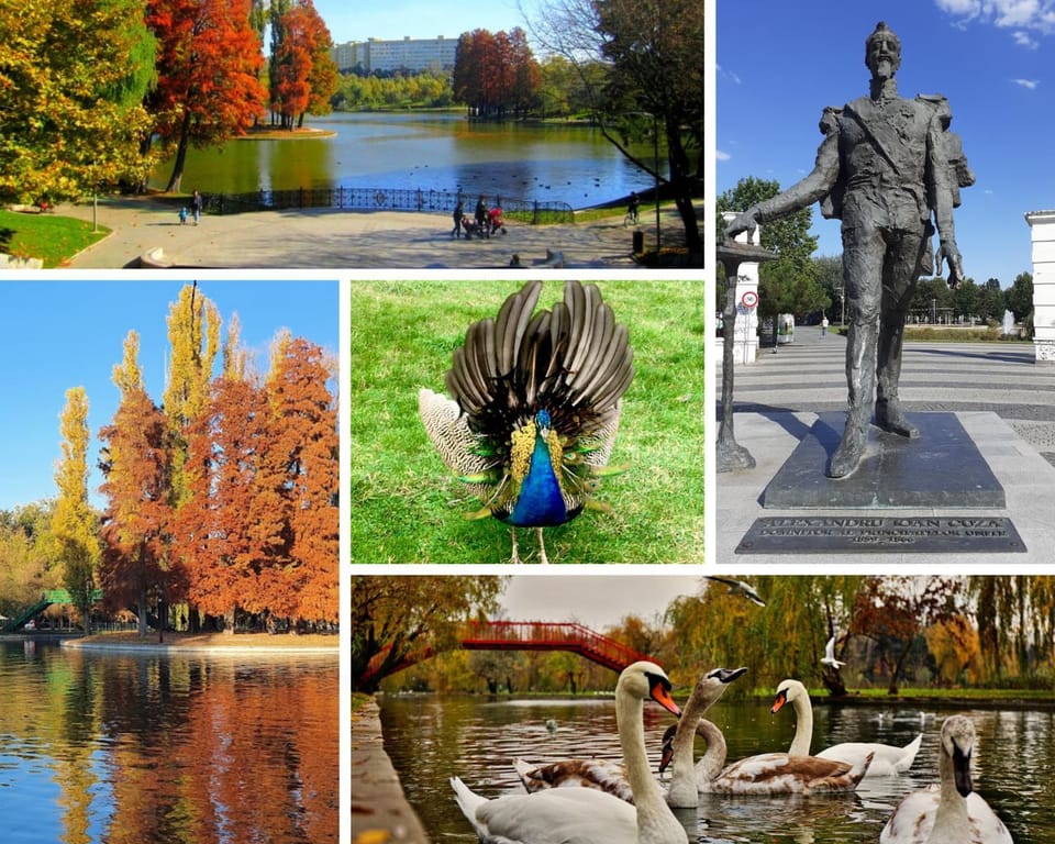 Nearby landmark, Natural landscape