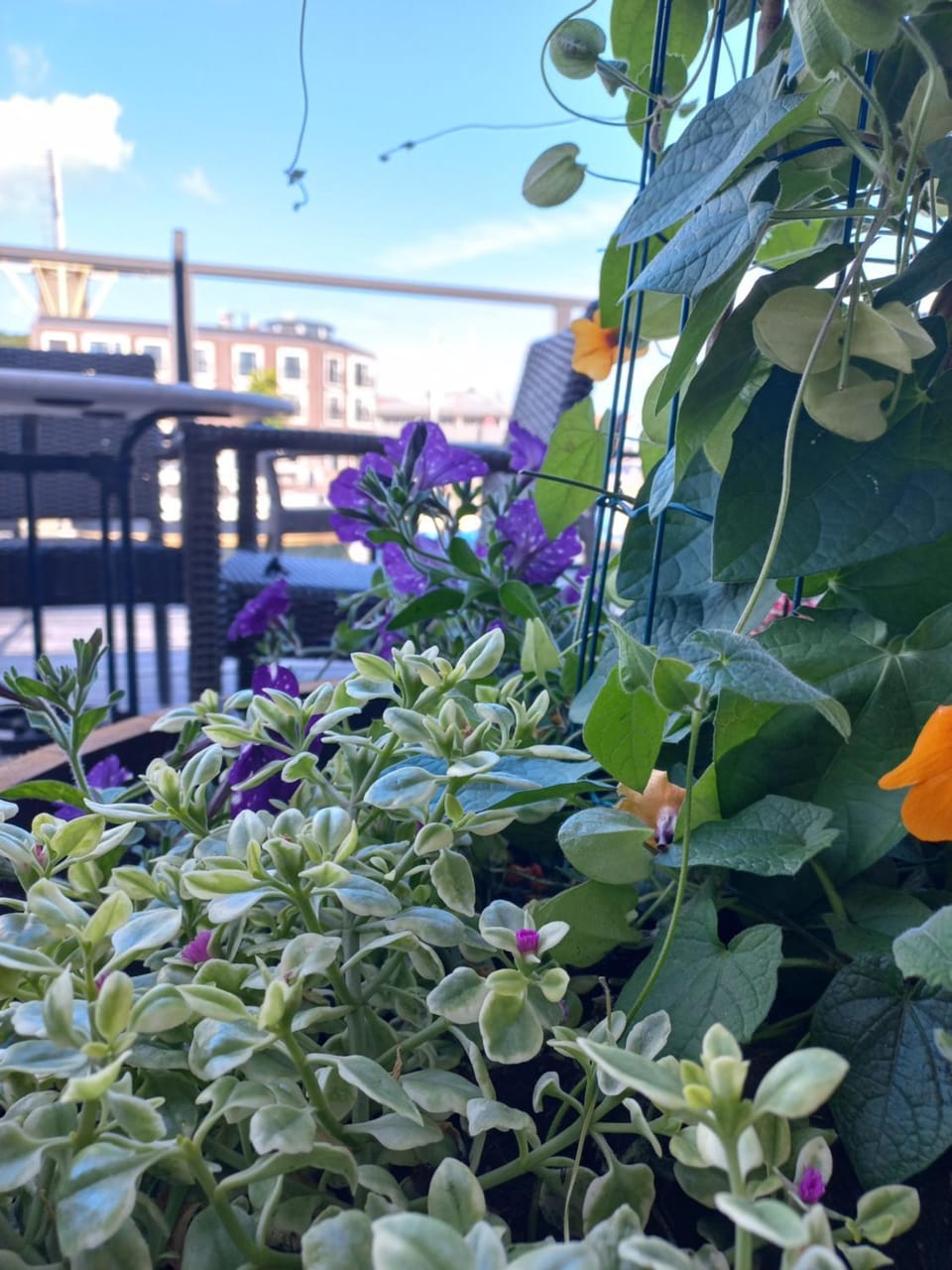 Boutique Hotel De Oude Veste Hotel in Hellevoetsluis