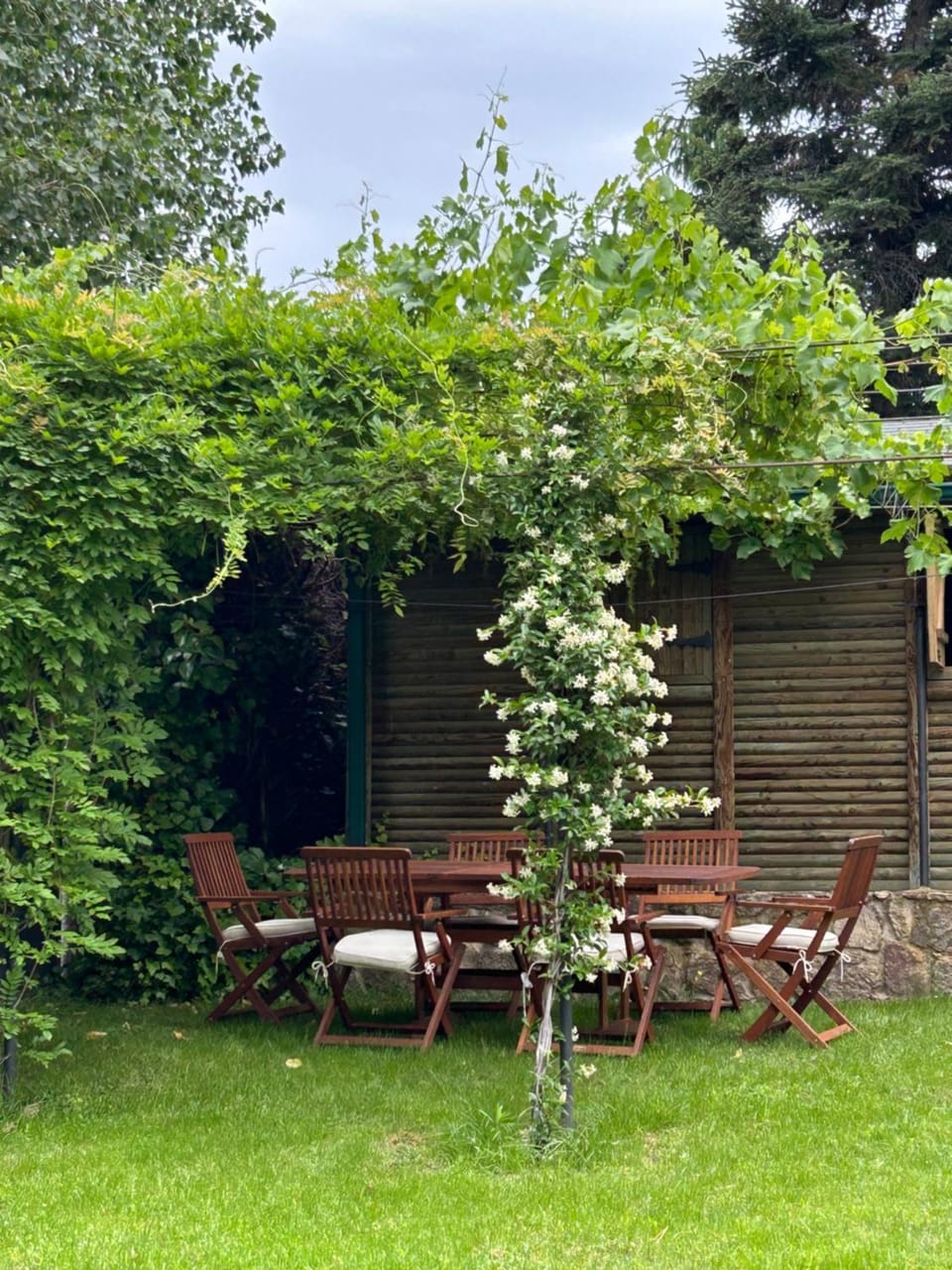 Spring, Day, Garden, Dining area, Garden view