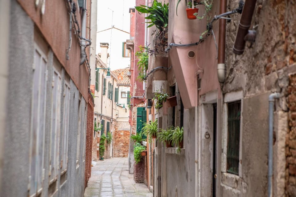 Neighbourhood, Street view