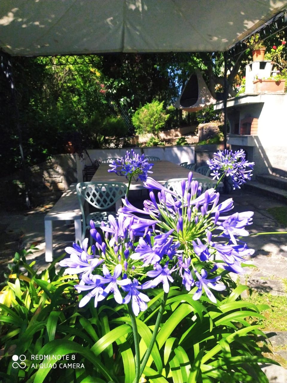 Pergolato suite Apartment in Sanremo