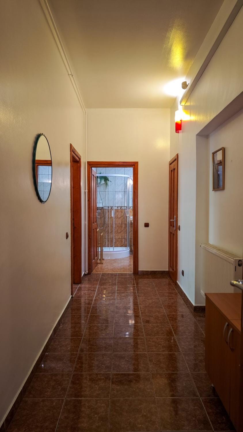 Neuhausz Residenz Ultra-Central Apartment Apartment in Timisoara