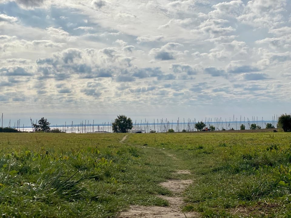Neighbourhood, Natural landscape, Beach