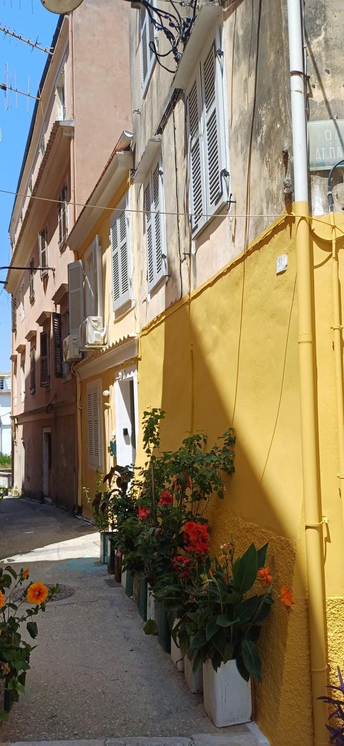 Cozy Corfiot house House in Corfu