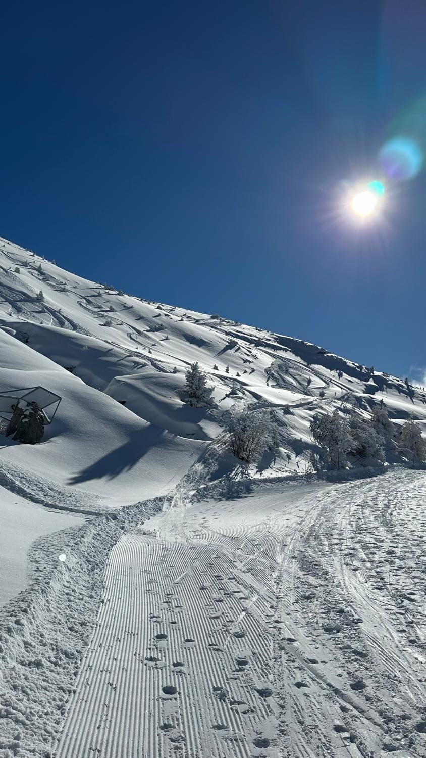 Villa Fleurettes STUDIO Bed and Breakfast in Bagnes