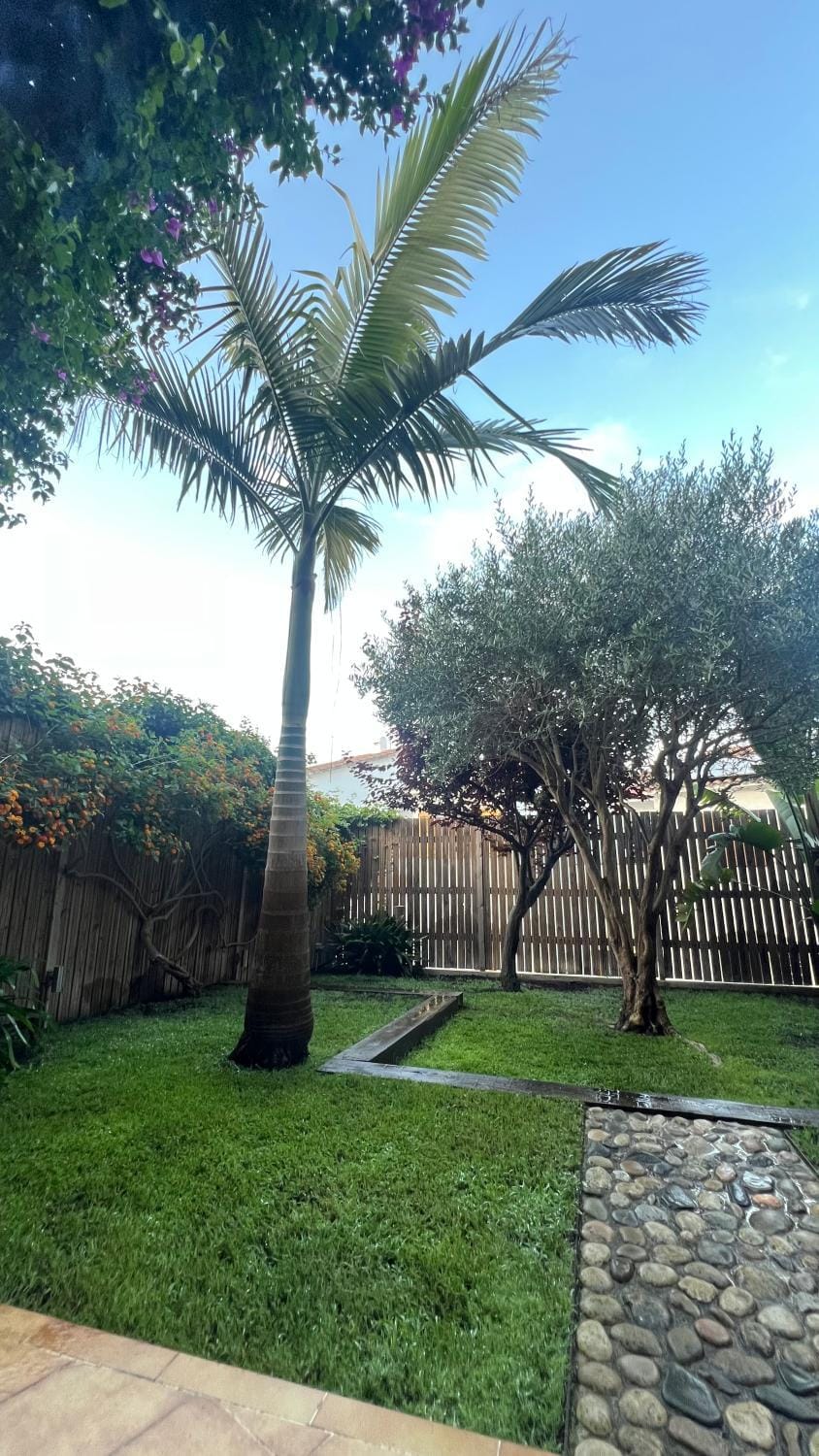 Mediterranean house, beach and charm garden House in Maresme