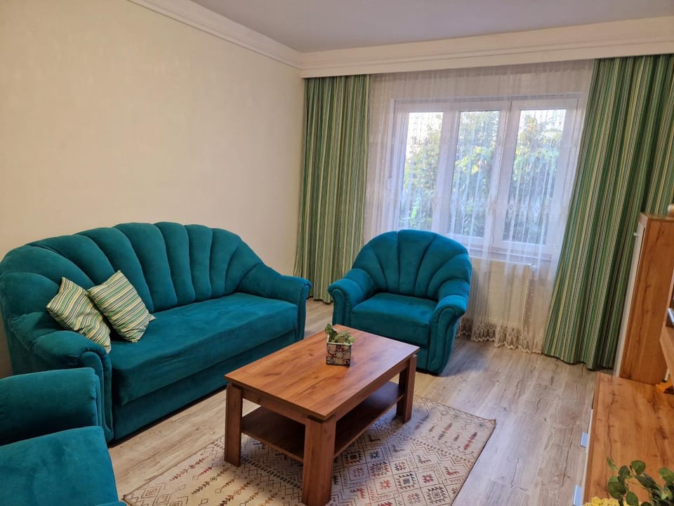 ORI Modern Apart Malul Muresului , Arad Apartment in Timiș County