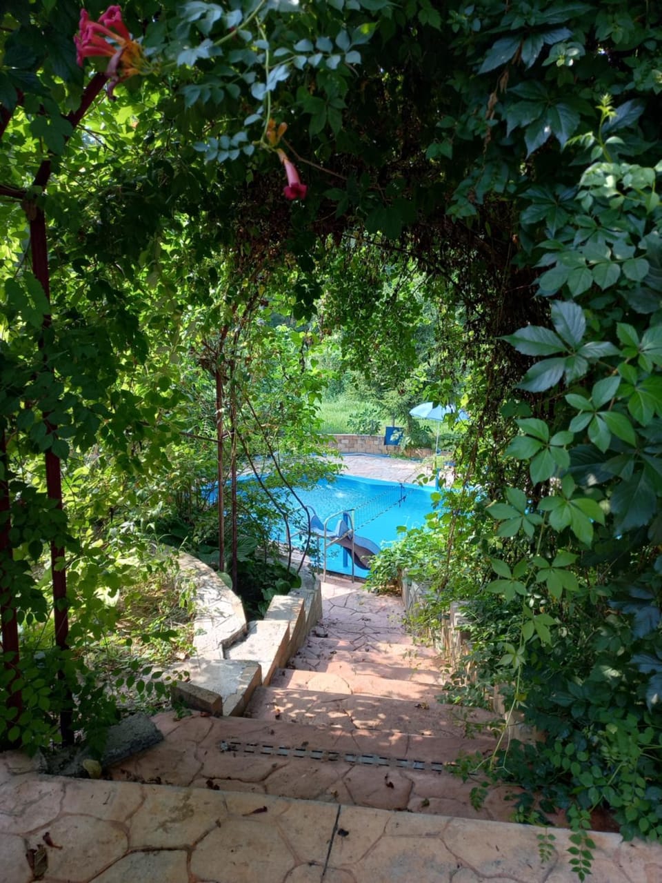 Swimming pool