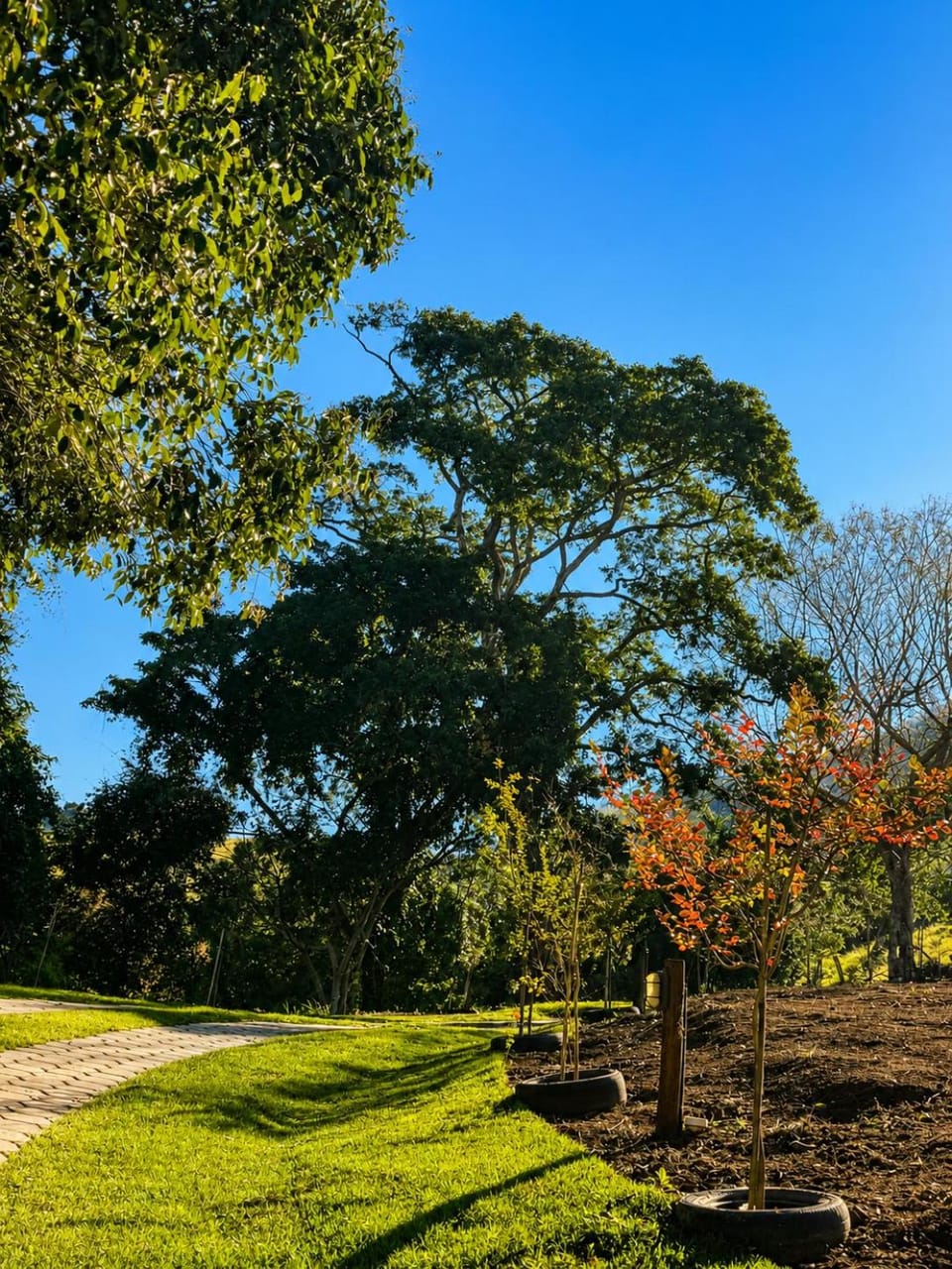 Chalé Bela Vista Chalet in State of São Paulo