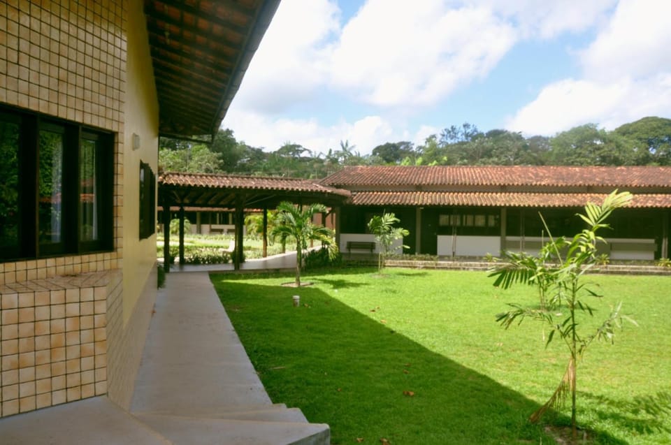 Garden, Balcony/Terrace