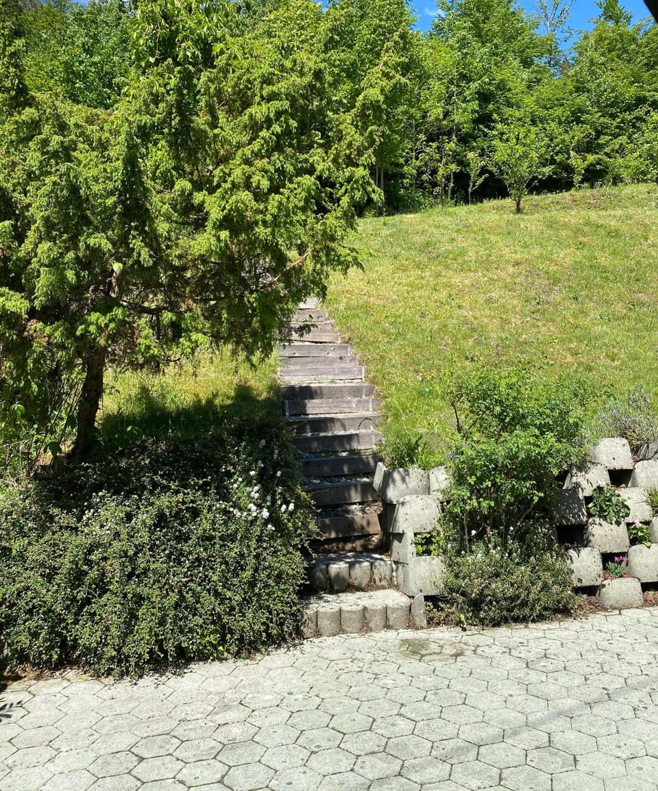 Garden view