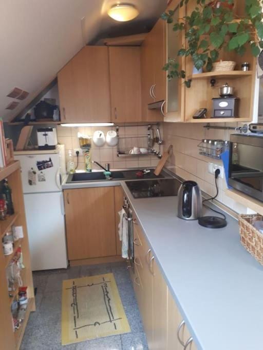 Byt 4+kk v klidné části obce Bedřichov Apartment in Lower Silesian Voivodeship