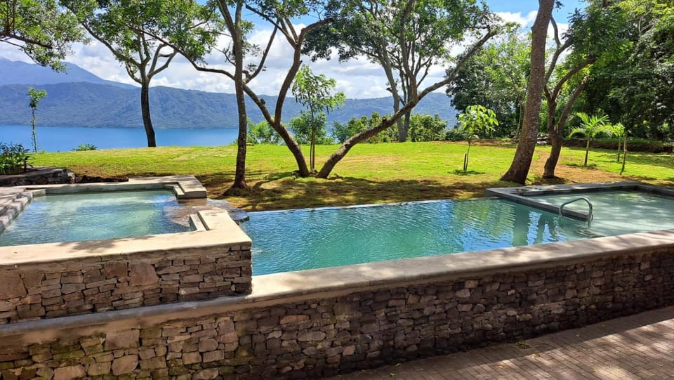 Garden, Pool view, Swimming pool