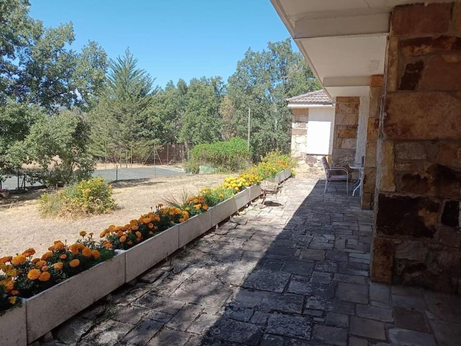 Property building, Spring, Day, Garden, View (from property/room), Balcony/Terrace, Garden view