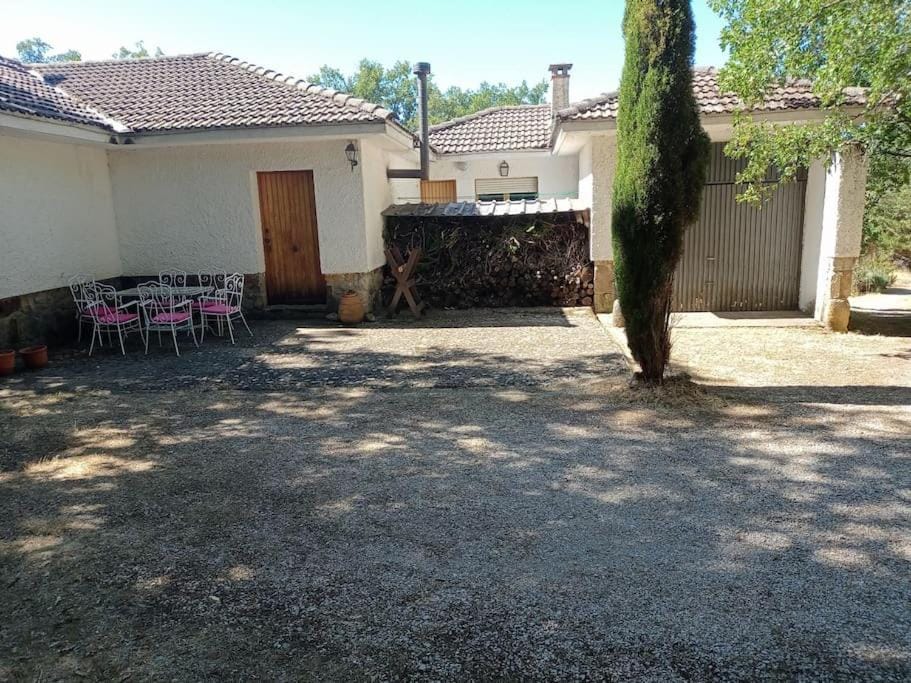 Property building, Spring, Day, Garden, Garden view
