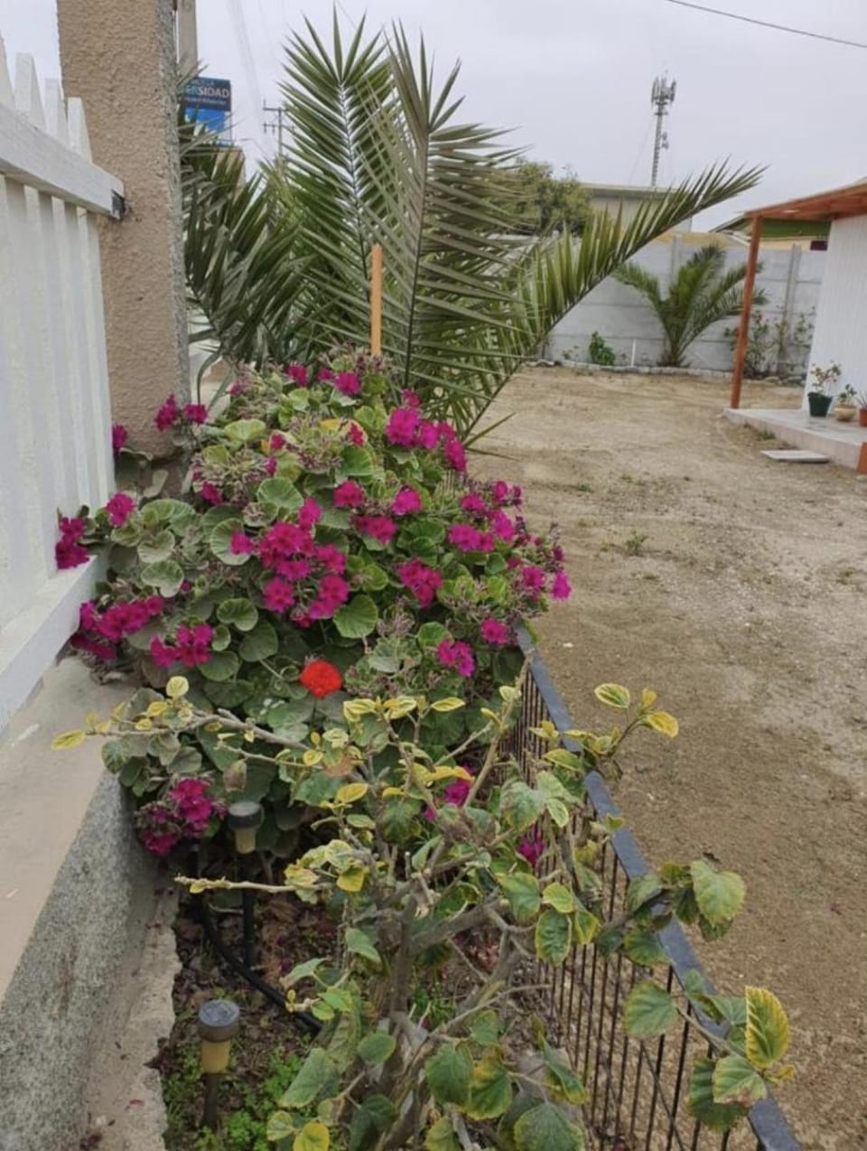 Spring, Day, Garden, Garden view