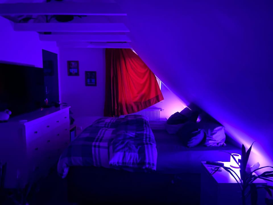 Bed, Bedroom