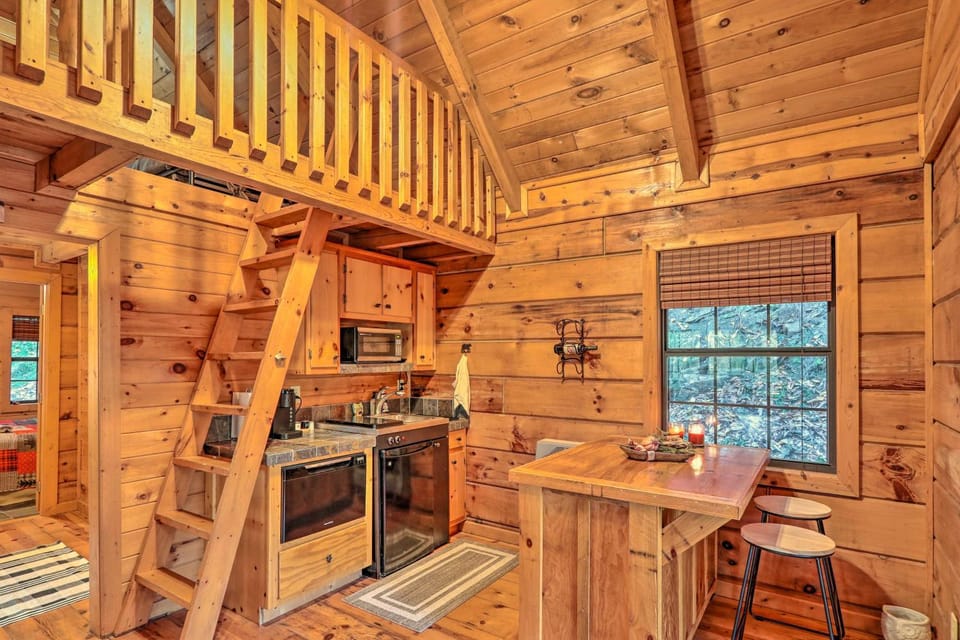 Fireplace & Foliage: Quaint Blue Ridge Cabin! Cabin in Georgia
