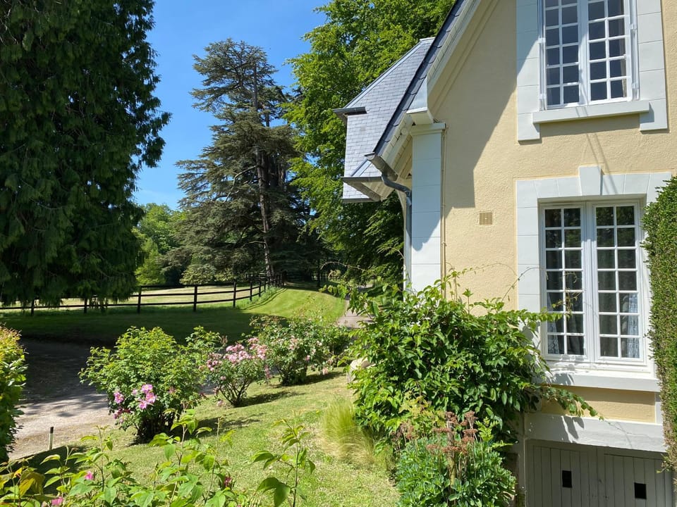 Property building, Garden, Garden view