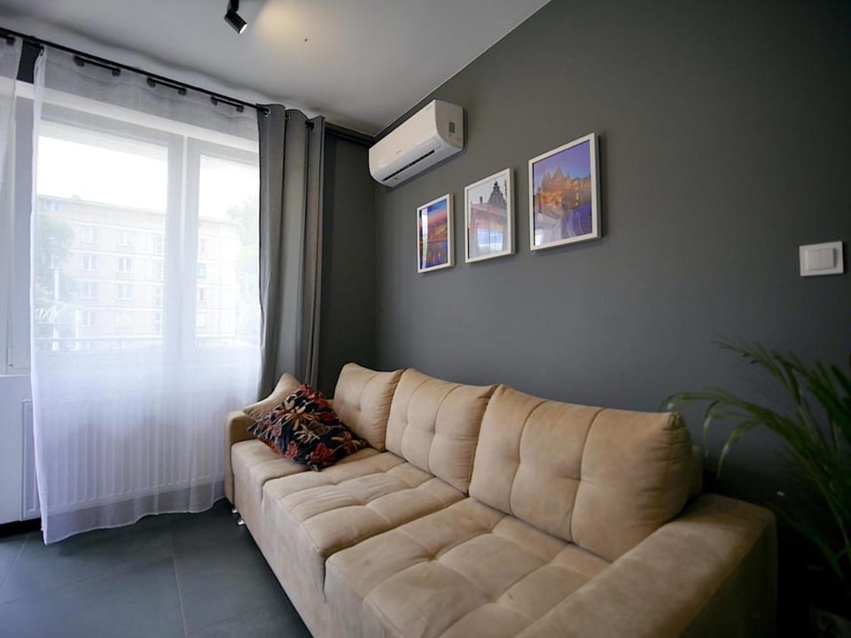 Living room, Seating area, air conditioner