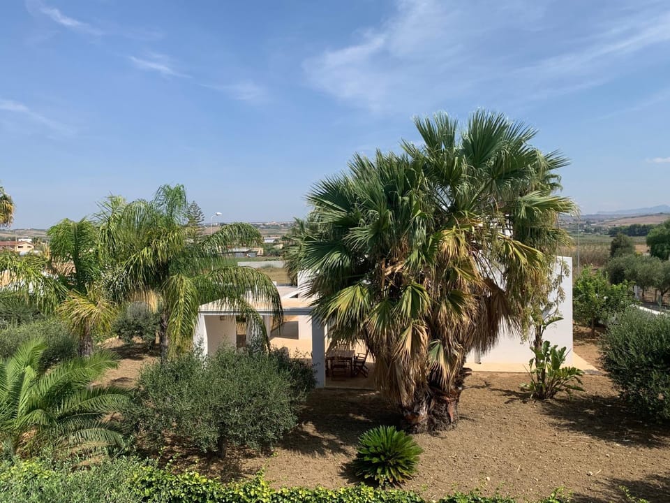 Property building, Garden view