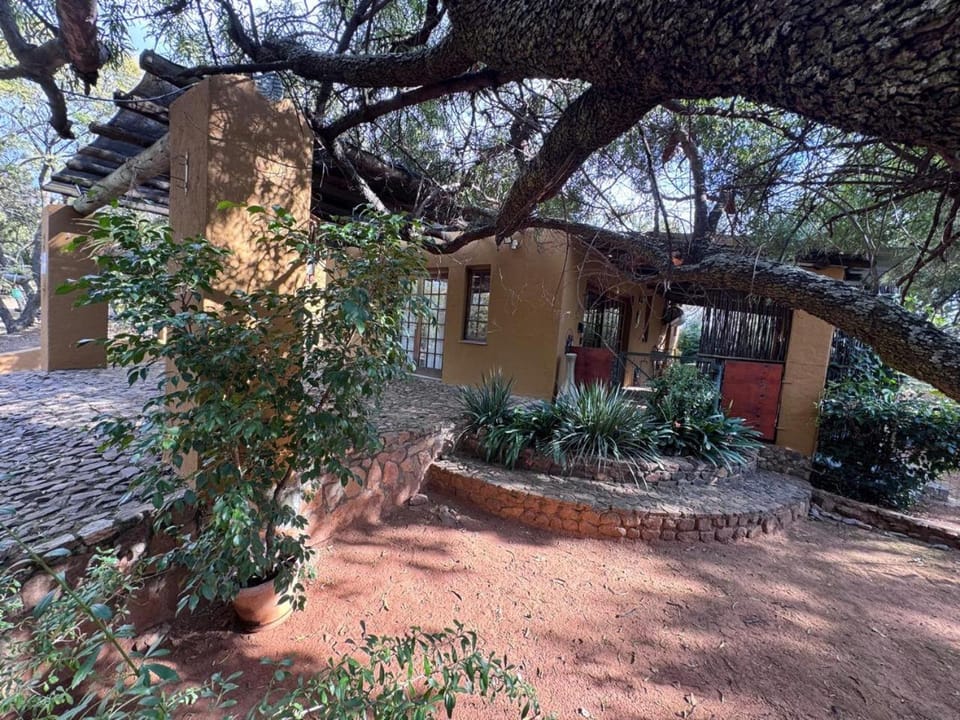 Bushbaby Apartment in Pretoria