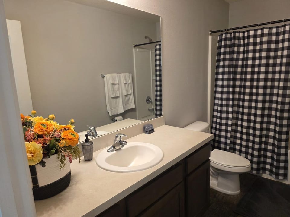 Shower, Toilet, Bathroom, Bath