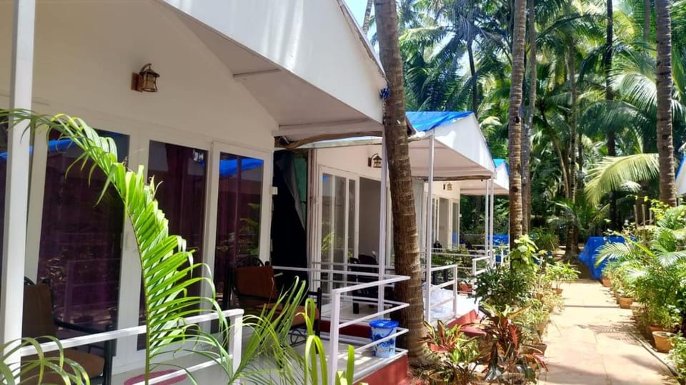 CSF Boutique Homestay Bed and Breakfast in Canacona