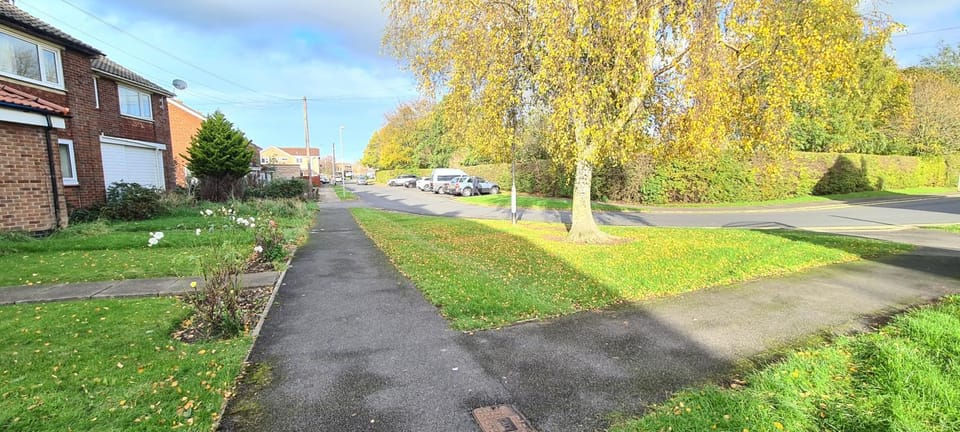 Day, Neighbourhood, Garden, Garden view, Street view, Parking