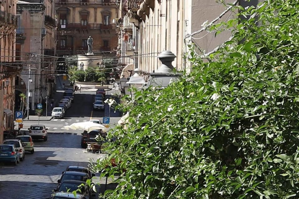 Day, Neighbourhood, City view, Street view