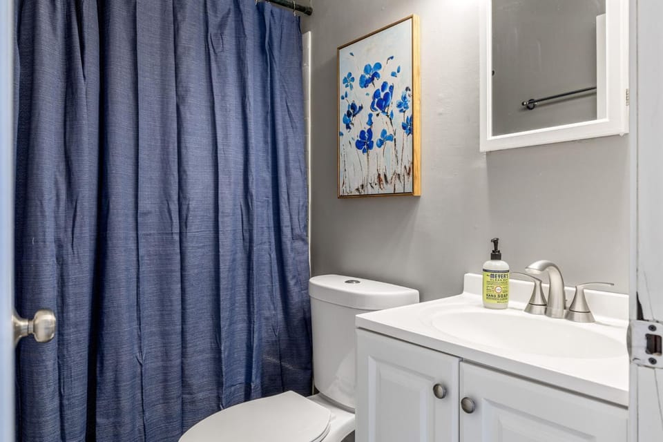 Shower, Toilet, Day, Bathroom, Photo of the whole room