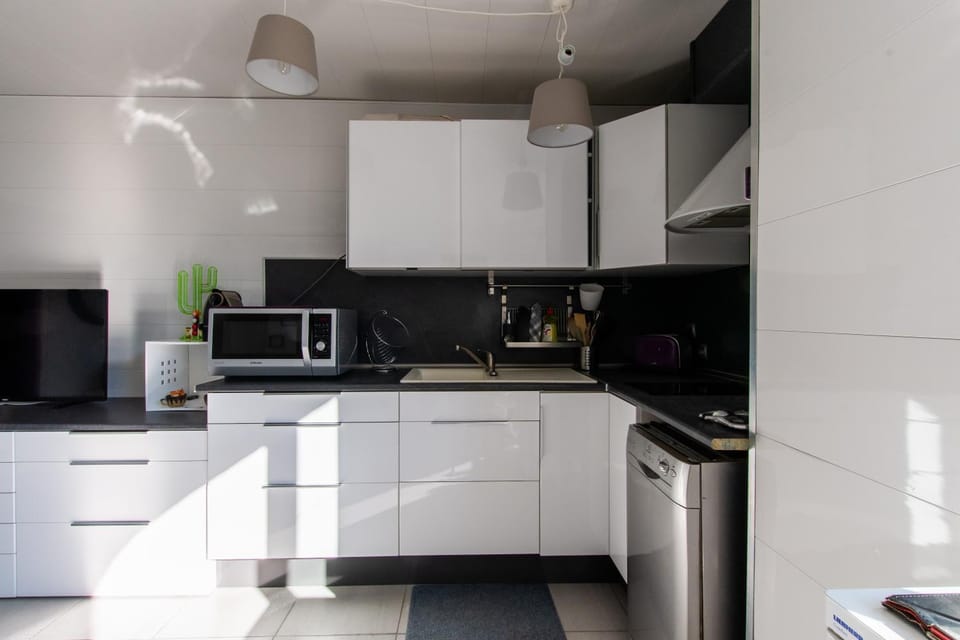 dishwasher, pet friendly, stove, washing machine