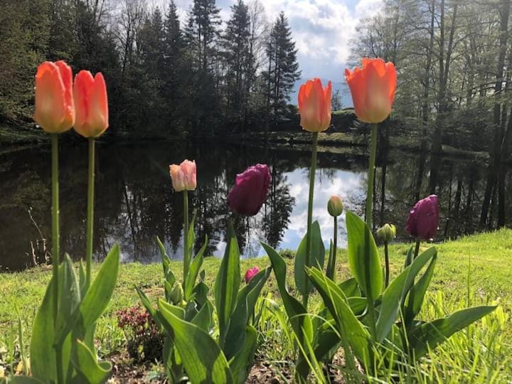 Garden, Lake view