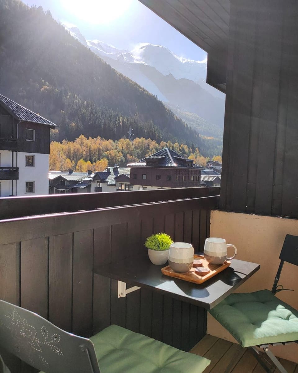 Superbe 2 pièces, centre vue Mont-Blanc avec balcon et parking gratuit Apartment in Chamonix