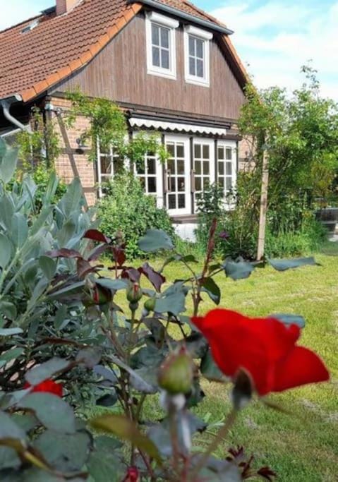 Ferienhaus Gartower See House in Saxony-Anhalt, Germany