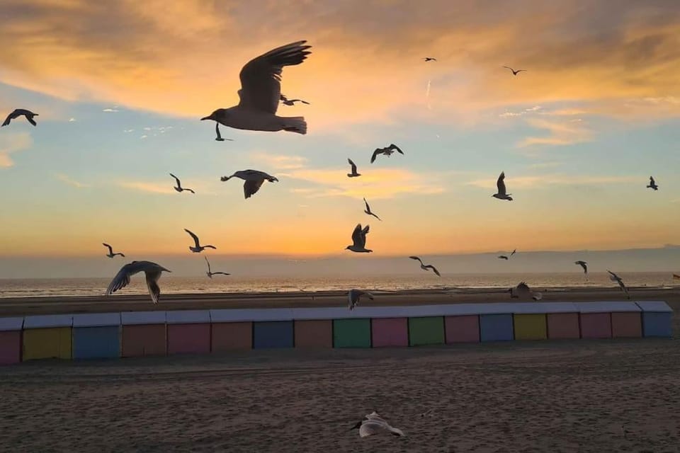 Petit Prince Apartment in Berck