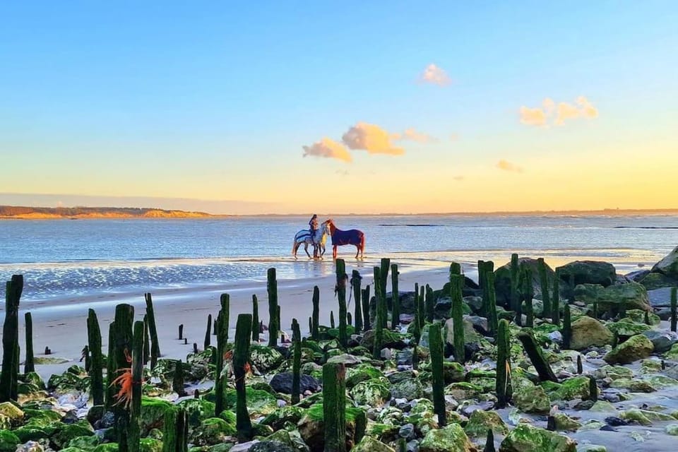 Petit Prince Apartment in Berck