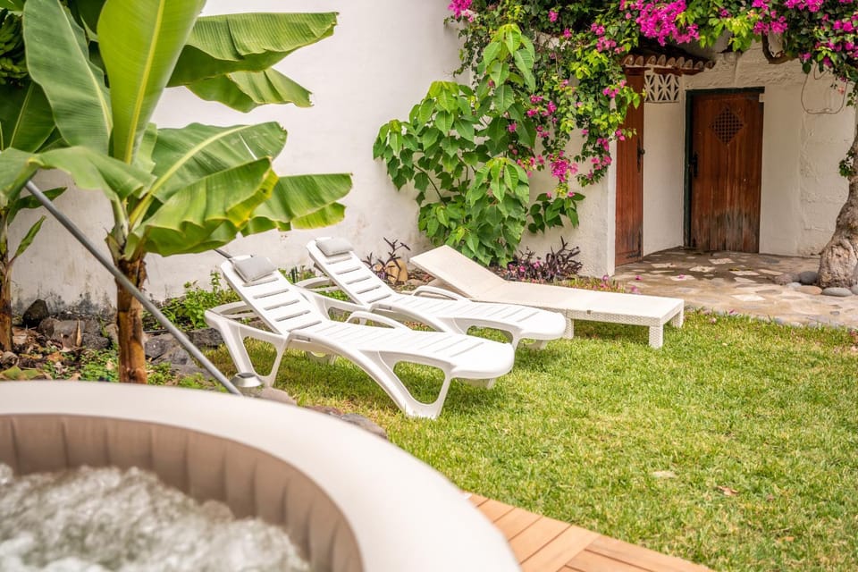 Patio, Day, Garden, Garden view, Pool view, Swimming pool, sunbed