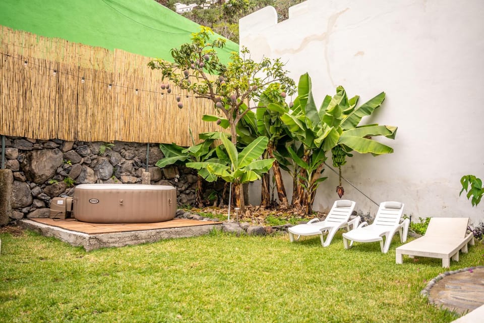 Patio, Day, Garden, Garden view, sunbed