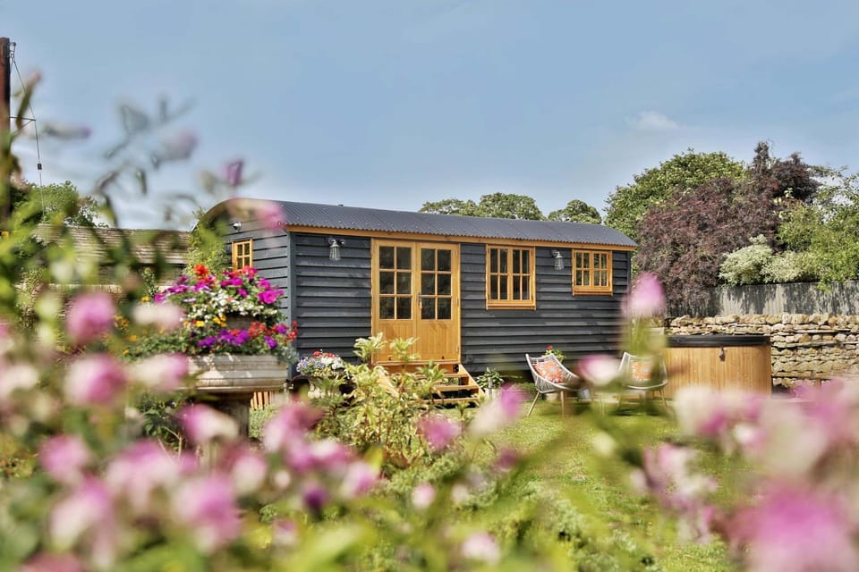 Property building, Garden, Garden view